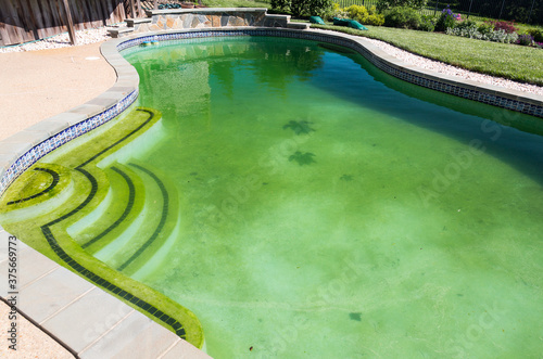 Filthy backyard swimming pool and patio