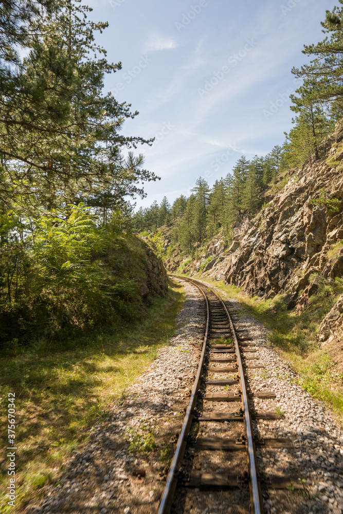 railway in the mountains and forest 