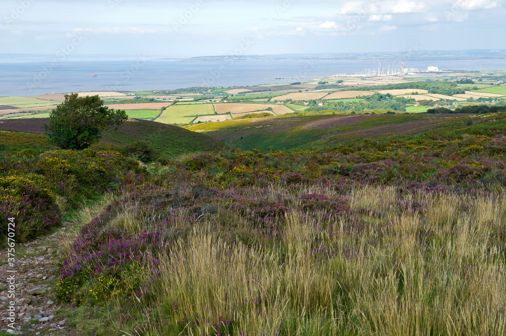 View towards the Bristol Channel and Hinkley Point power station from the Quantock Hills, Somerset, England