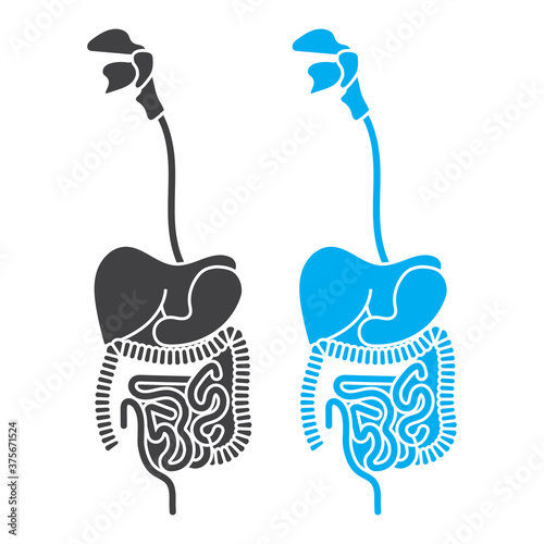 Human anatomy flat vector icon for apps and websites