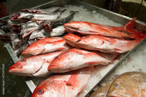 Fresh fish, including red snapper, for sale at a New York wholesale market