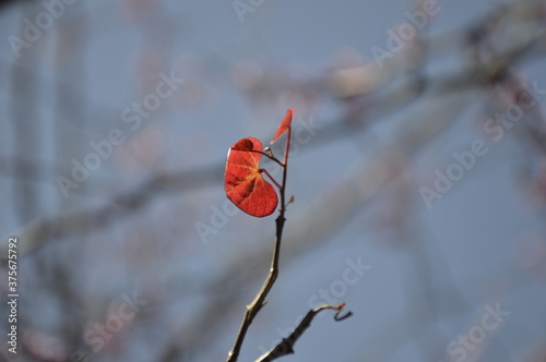 otoño