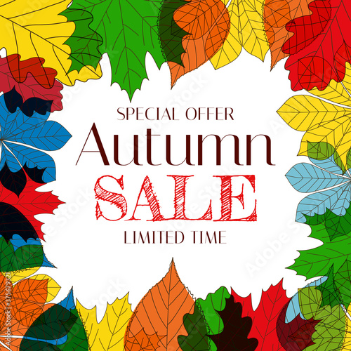 Autumn Sale Background Template with leaves. Special offer. Limited Time. Vec...