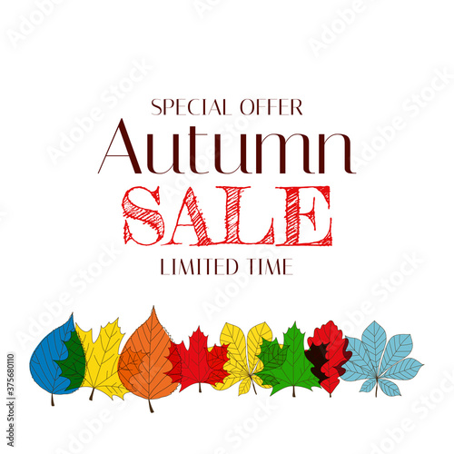 Autumn Sale Background Template with leaves. Special offer. Limited Time. Vec...