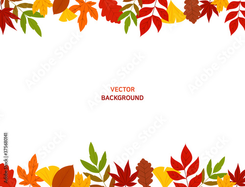 Autumn background template. Empty space with fallen leaves below and above.