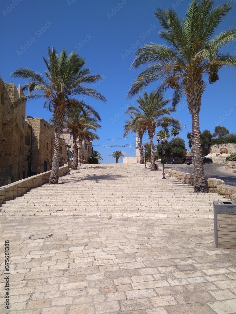 Nice view of steps and palm trees in Jaffa in Israel.