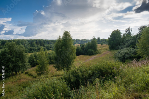 Landscape with forests and small meadows and a beautiful cloudy sky. © Valery Smirnov