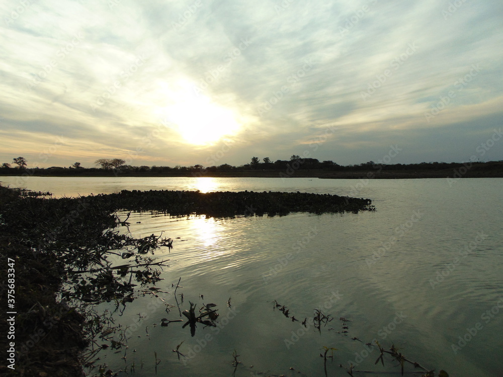 Fototapeta premium hermoso atardecer en la orilla del rio