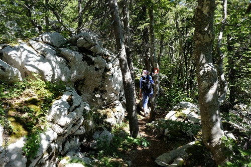 The beautiful Velebit National Park, Dinaric Mountains, Croatia. Silhouette of walking tourists on trail in forest.