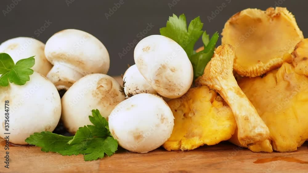 group of champignon and chanterelles mushrooms on wood group of champignon and chanterelles mushrooms on wood