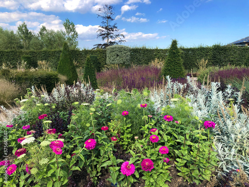 Contemporary garden view with topiary. RHS Hyde Hall, England, August 2020