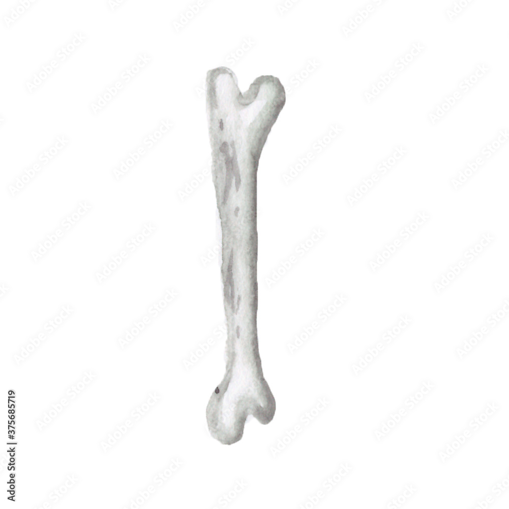 Hand draw watercolor Halloween bone Hand draw watercolor Halloween bone