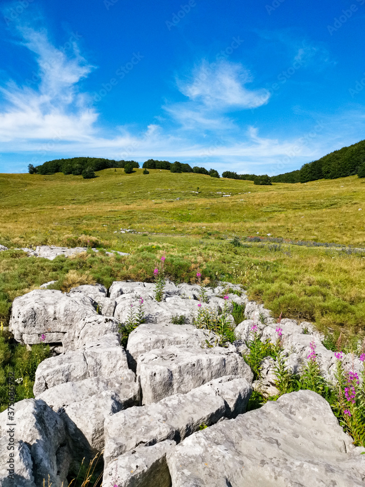 Karst formations and green meadow photographed in the Northern Velebit mountain in Croatia