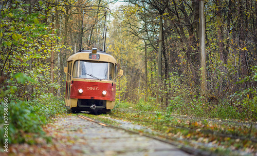 old tram passing through the forest