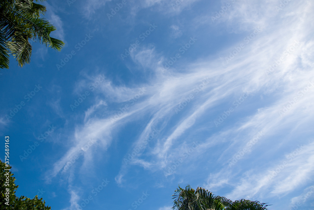 Obraz premium White cloud with blue sky background. beautiful sky.
