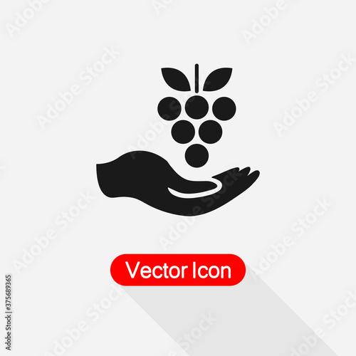 Grapes In The Hand Icon vector illustration Eps10