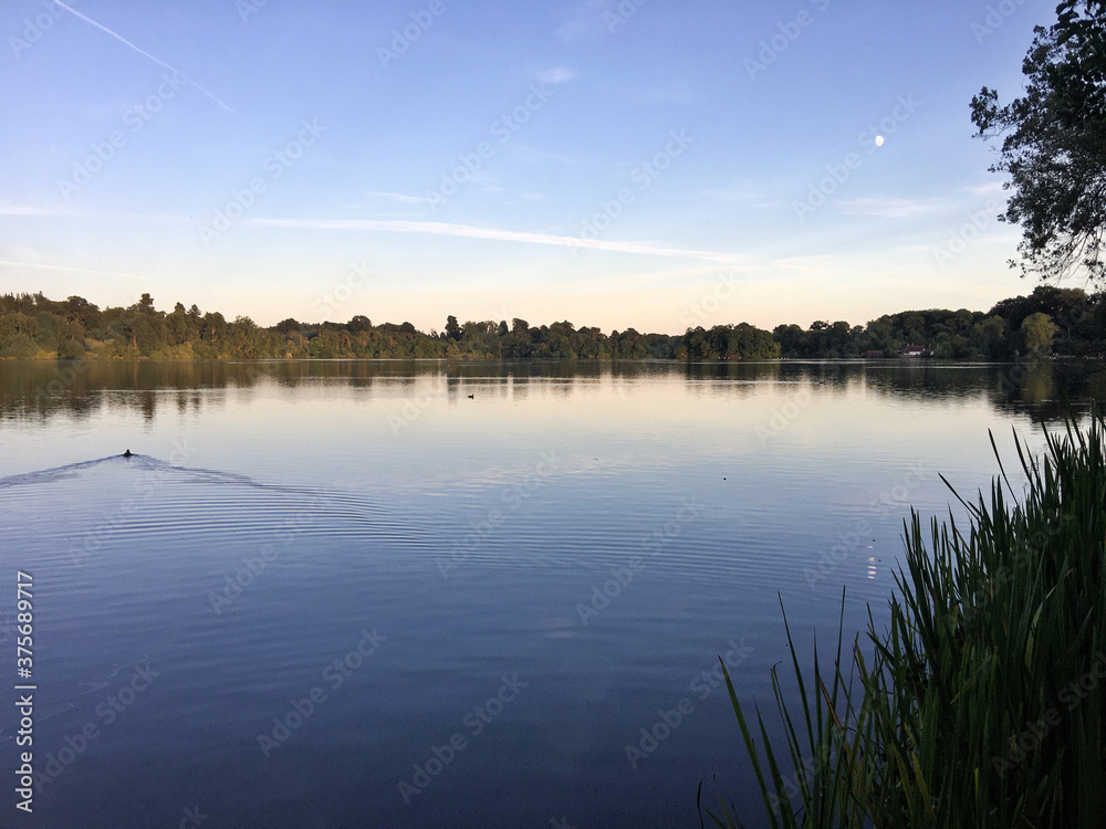 A view of the Lake at Ellesmere in the evening