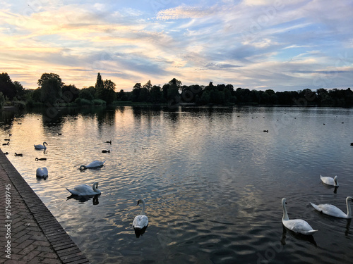 A view of the Lake at Ellesmere in the evening photo