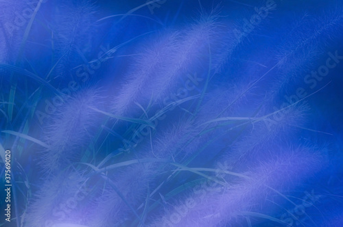 Abstract background of pink spikelets and blue herbs on a blue background