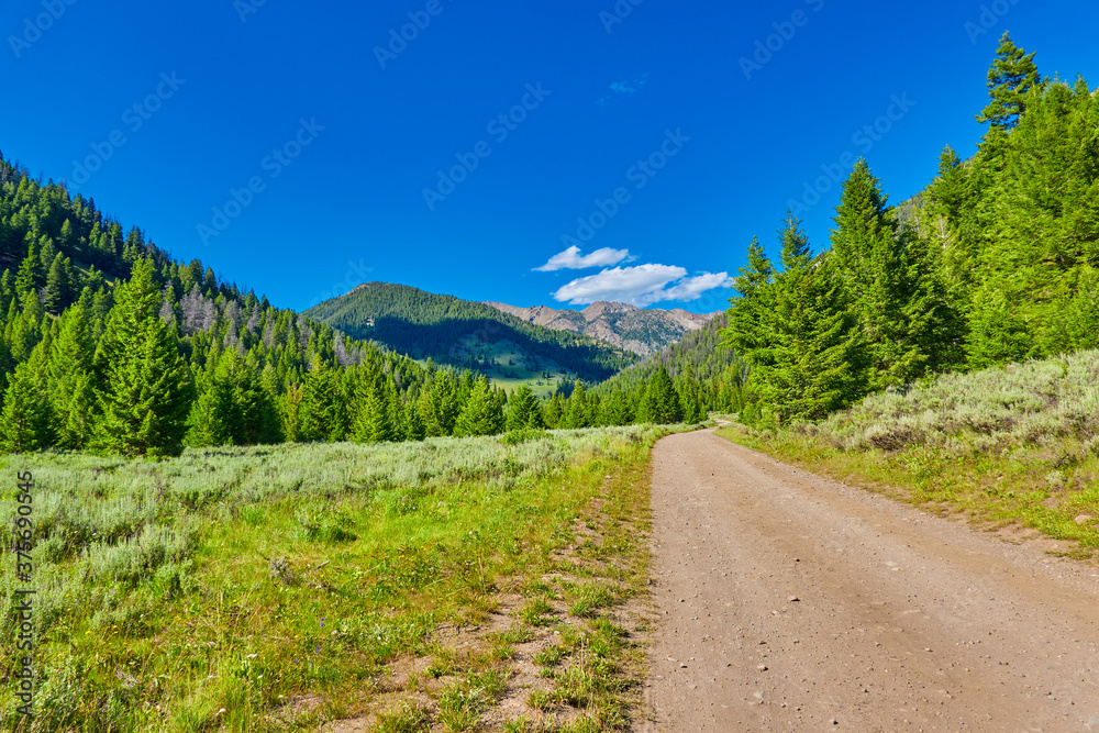 North Fork Road in the Sawthooth National Forest near Ketchum, Idaho.