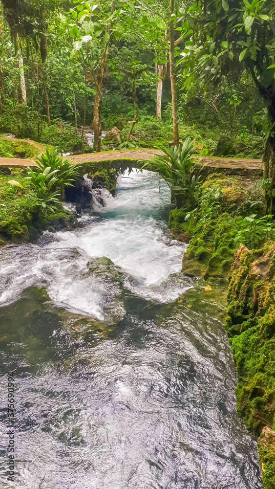 water running under a bridge in the forest of peru water running under a bridge in the forest of peru