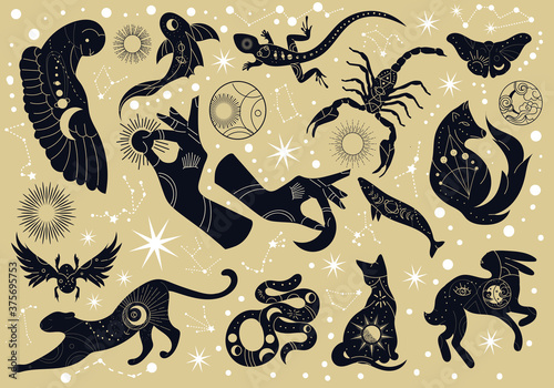 Set of black silhouette mystery or mythological animals with decorative patterns on a star studded background, colored vector illustration. Creative drawing