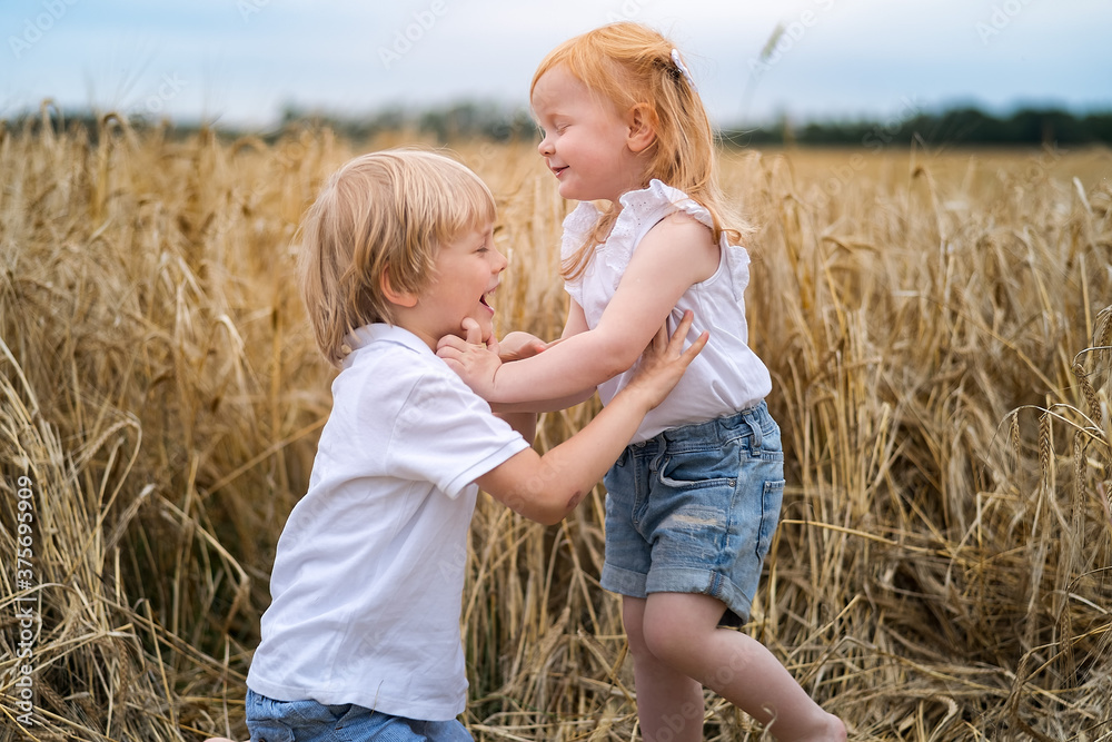 Little girl and boy playing and laughing in the field of grain Little girl and boy playing and laughing in the field of grain