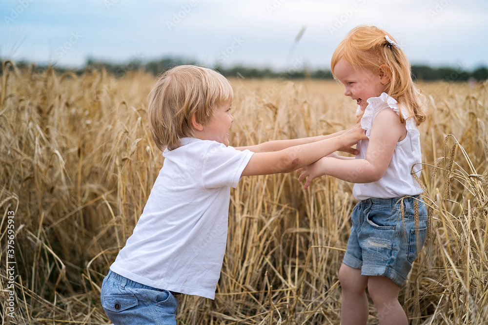 Little girl and boy playing and laughing in the field of grain Little girl and boy playing and laughing in the field of grain