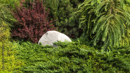 Fragment of a decorative alpine slide, landscape design - rockery with conifers, alpine grasses, stones and large pebbles