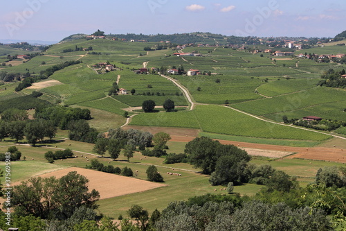 Views of the soft mellow hills in Monferrato, Italy.