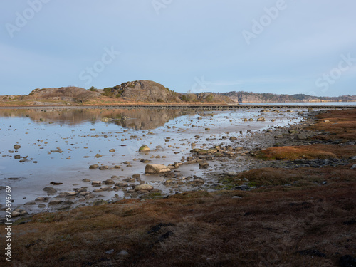 Beautiful photo of a coastline. It is shot in early morning at low tide, exposing hundreds of rocks lying on the sea bed. It is early spring and frost in the grass in the foreground. 