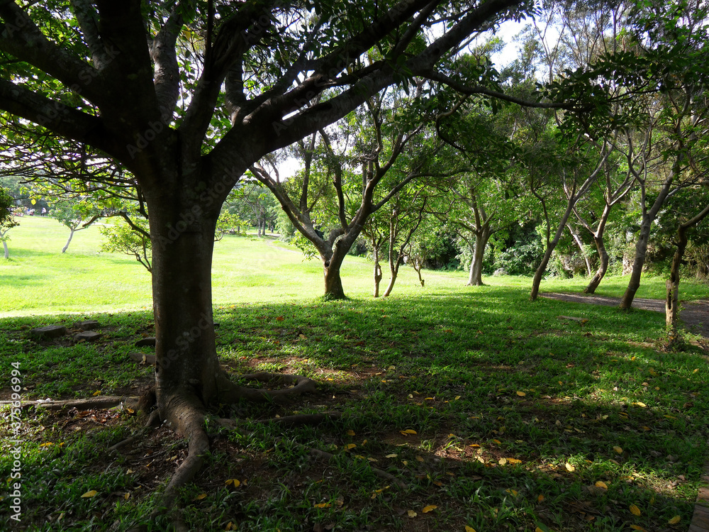 Nature landscape of Sheding Natural Park in Kenting National Park Nature landscape of Sheding Natural Park in Kenting National Park