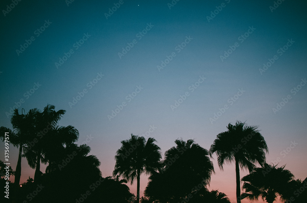 Obraz premium Paisajes y Naturaleza.