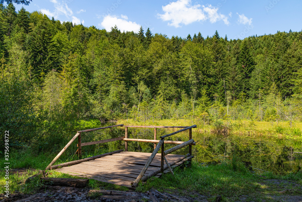 Wooden pedestrian bridge over mountain forest lake Wooden pedestrian bridge over mountain forest lake