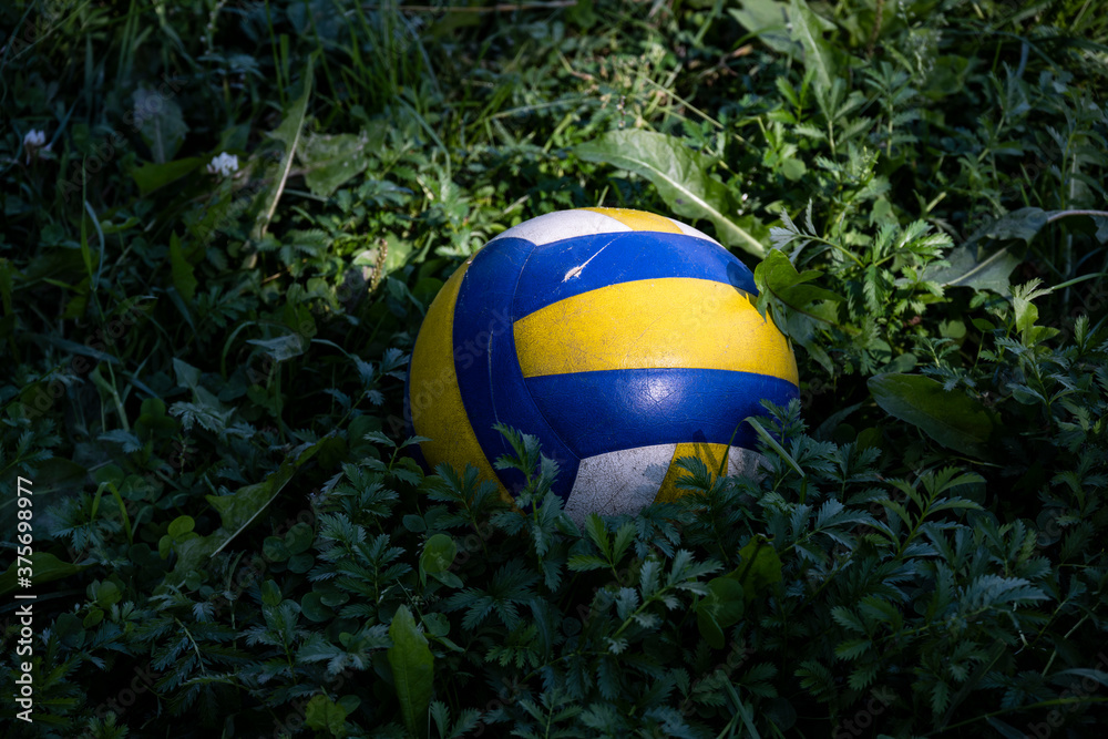 blue-yellow soccer ball lies in green grass blue-yellow soccer ball lies in green grass
