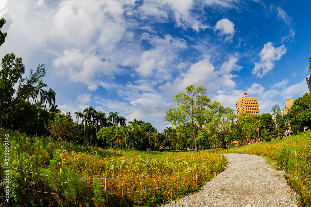 Sunny view of the NTU Campus