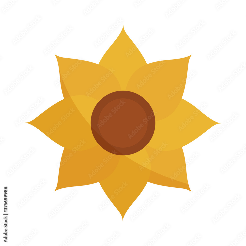 sunflower flower nature decoration flat icon with shadow sunflower flower nature decoration flat icon with shadow