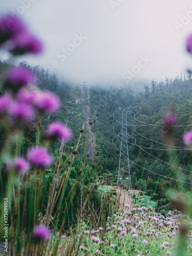 Moody powerlines in tasmania