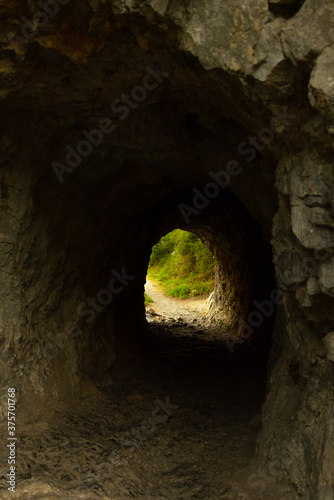 mountain forest senda del oso asturias tunnel