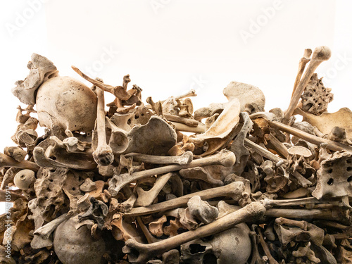 Pile of Bones photo