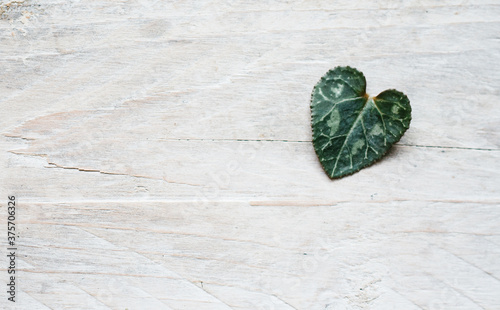 A heart-shaped leaf photo