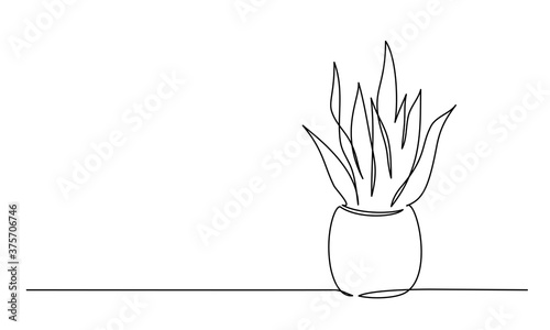 House plant in pot. Continuous one Line drawing