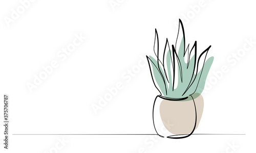 House plant in pot. Continuous one Line drawing