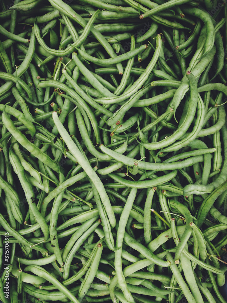 Organic green bush beans for sale at farmer's market Organic green bush beans for sale at farmer's market