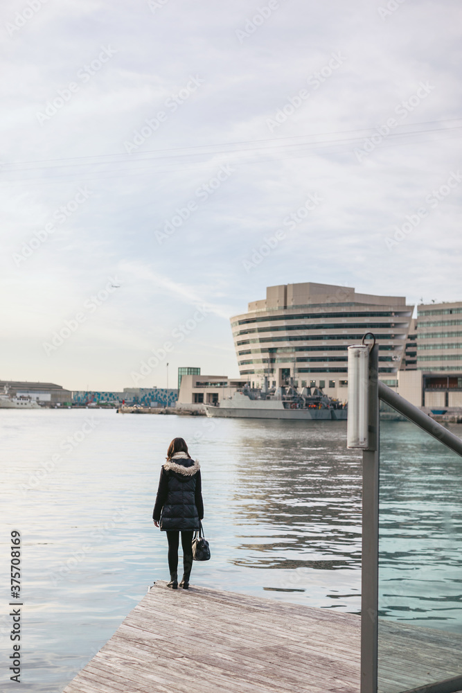 Back view of young woman with winter clothes standing on the dock. Back view of young woman with winter clothes standing on the dock.
