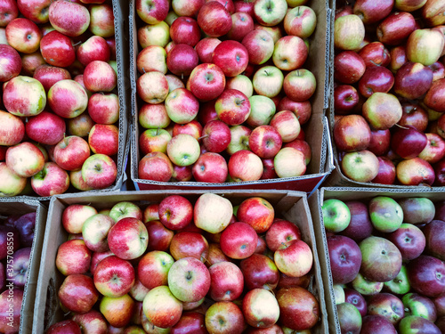 Fruits: delicious ripe apples at farmstand photo