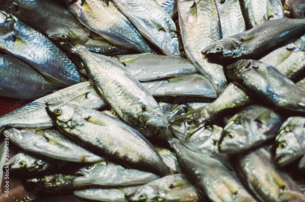 Dead fish on market Dead fish on market