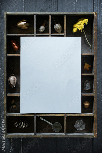 autumn themed collection of curiosities flat lay mockup with copyspace, witchy things on desk with room for copy or art mock up