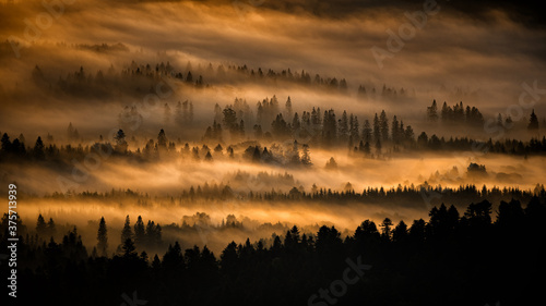 Fototapeta Naklejka Na Ścianę i Meble -  Sunrise over the mountain forest. Bieszczady National Park. Carpathian Mountains. Poland.