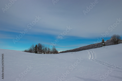 Snow and Blue Skies